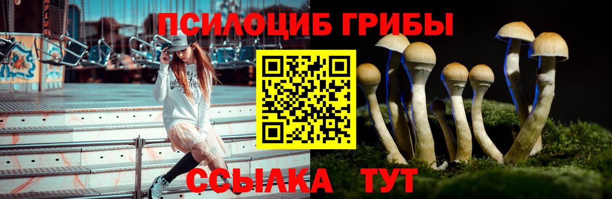Галлюциногенные грибы Psilocybine cubensis  Вход с VPN  Щёлково 
